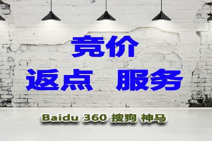 SEM广告投放策略：成功案例解析