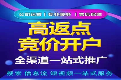 热门SEM运营公司案例深度剖析